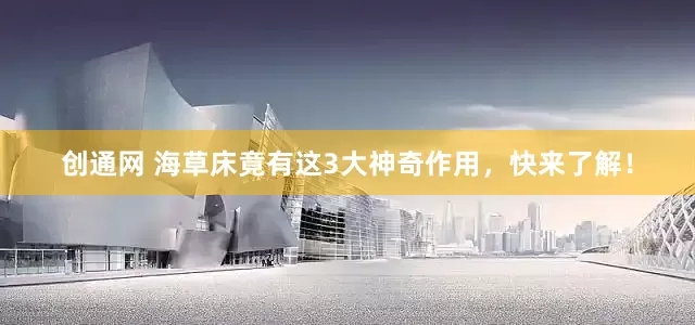 创通网 海草床竟有这3大神奇作用，快来了解！