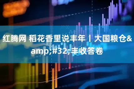 红腾网 稻花香里说丰年丨大国粮仓&#32;丰收答卷