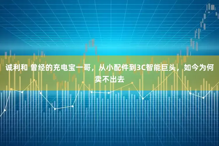 诚利和 曾经的充电宝一哥，从小配件到3C智能巨头，如今为何卖不出去